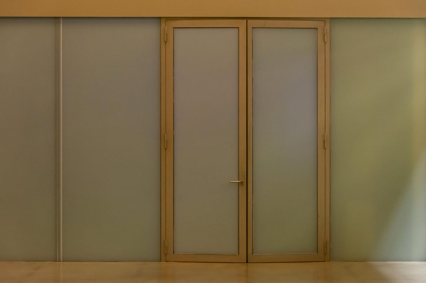 Wood-framed frosted glass interior door and panels