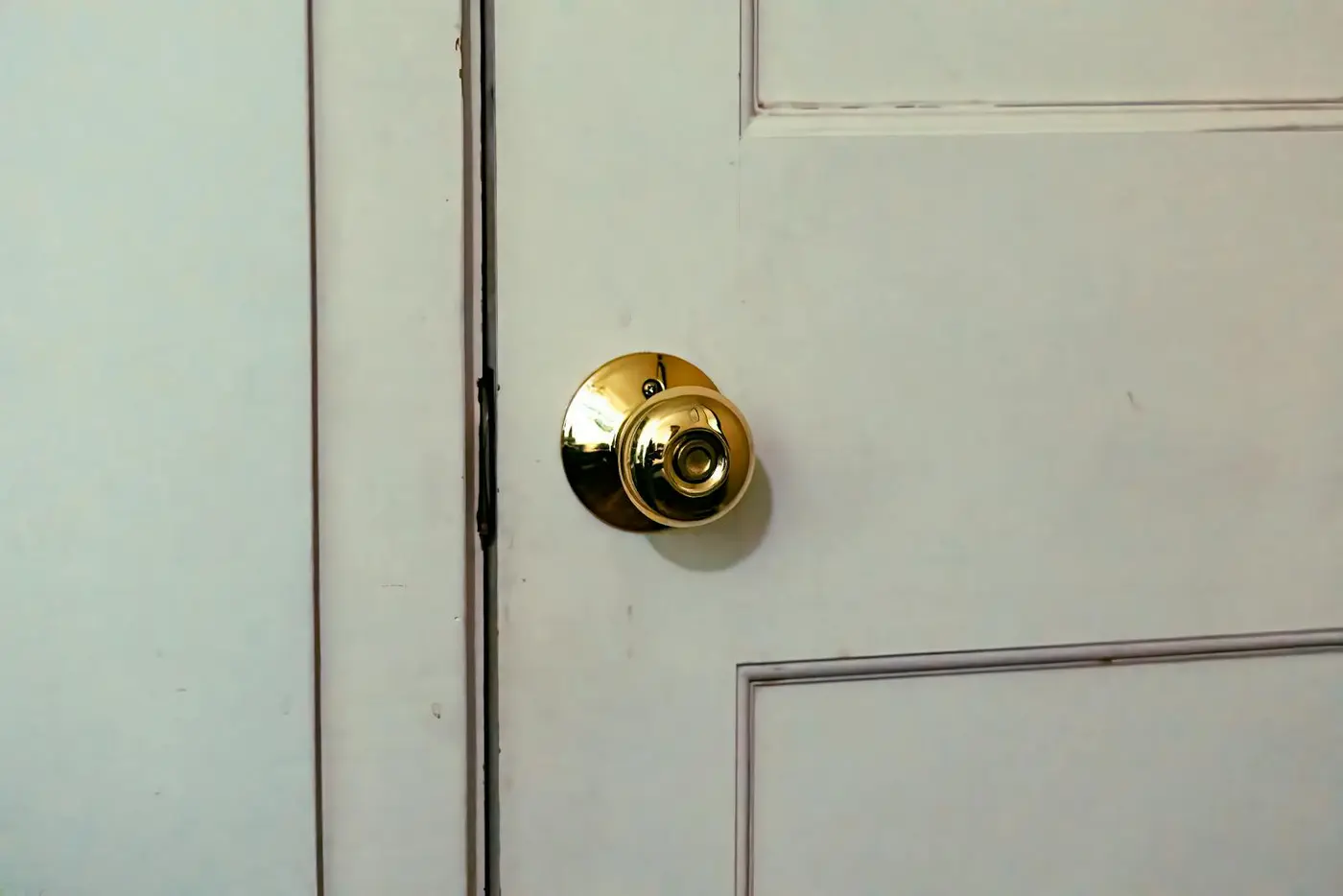 Panel Doors by DC Local Locksmith in Washington DC