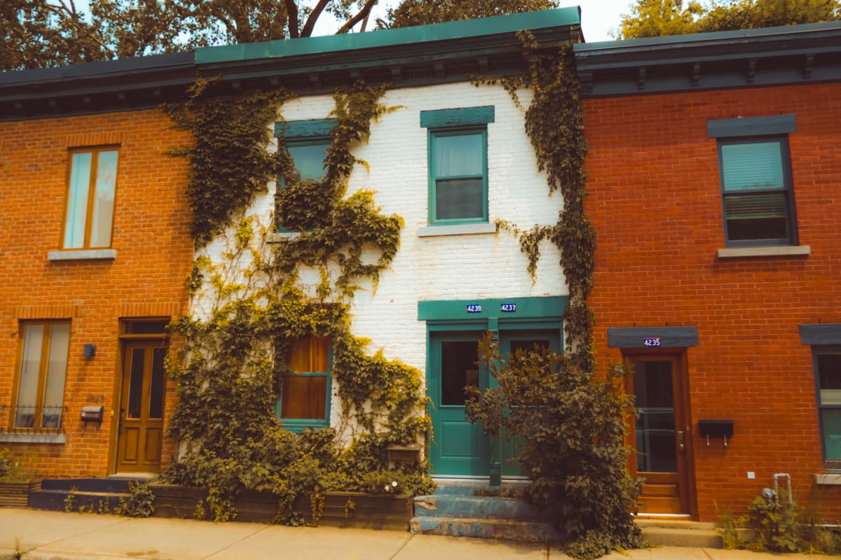 Historic brick townhouses along a tree-lined street
