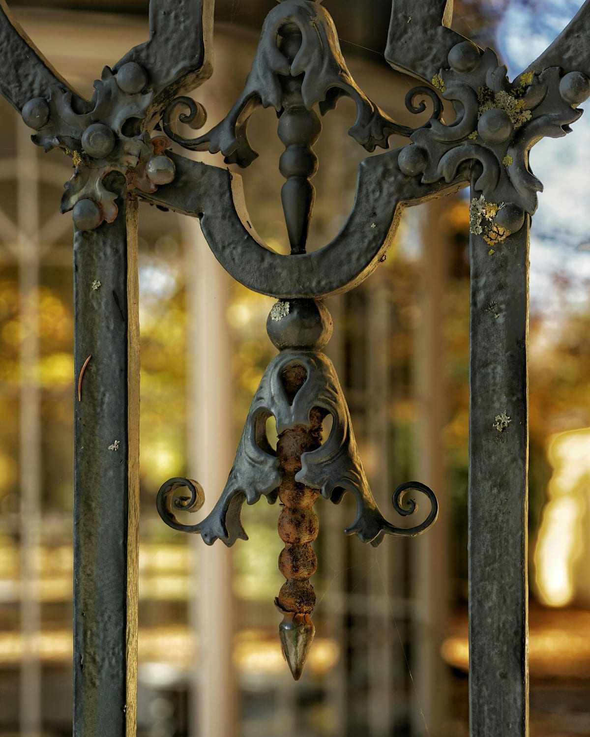 Ornate vintage wrought iron fence with decorative detail on DC street