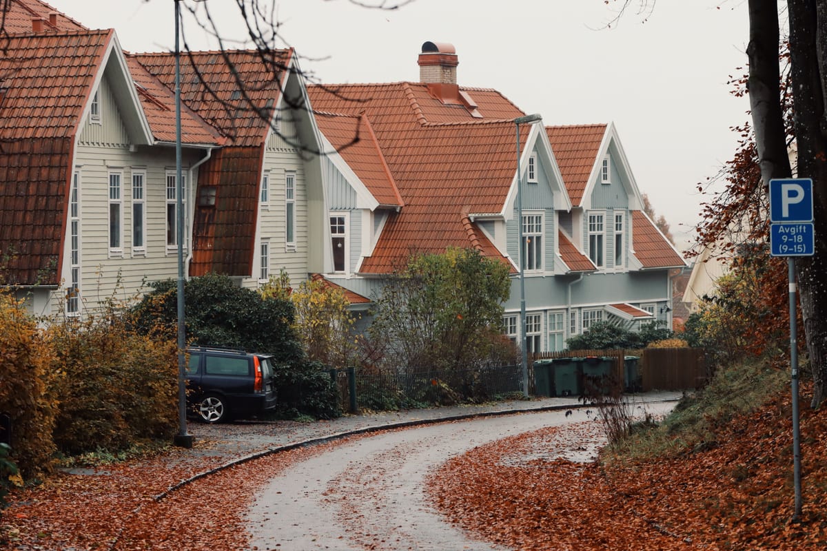 A rowhouse block lined with autumn trees
