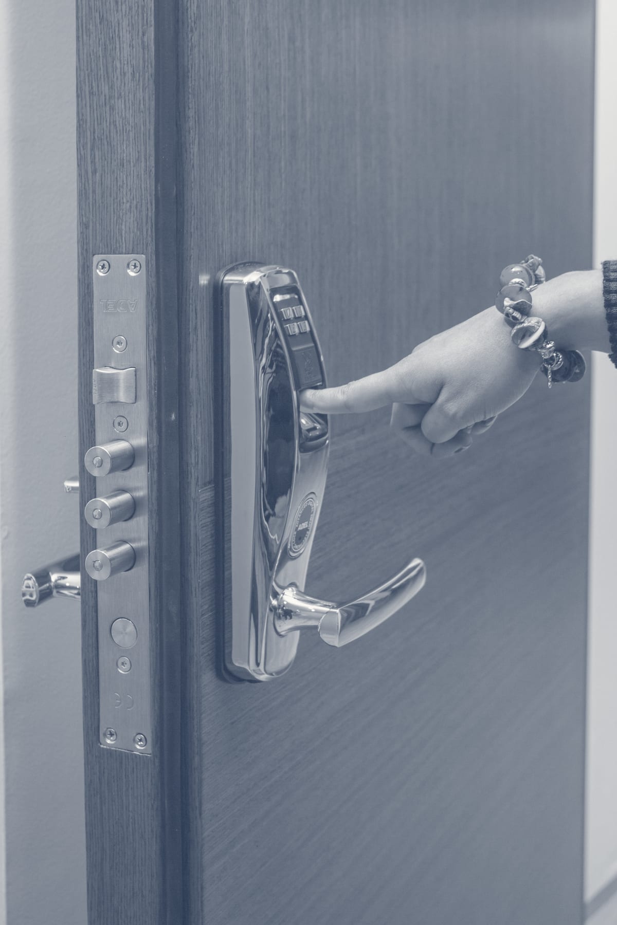 Smart lock with fingerprint reader and biometric lever on a residential entry door