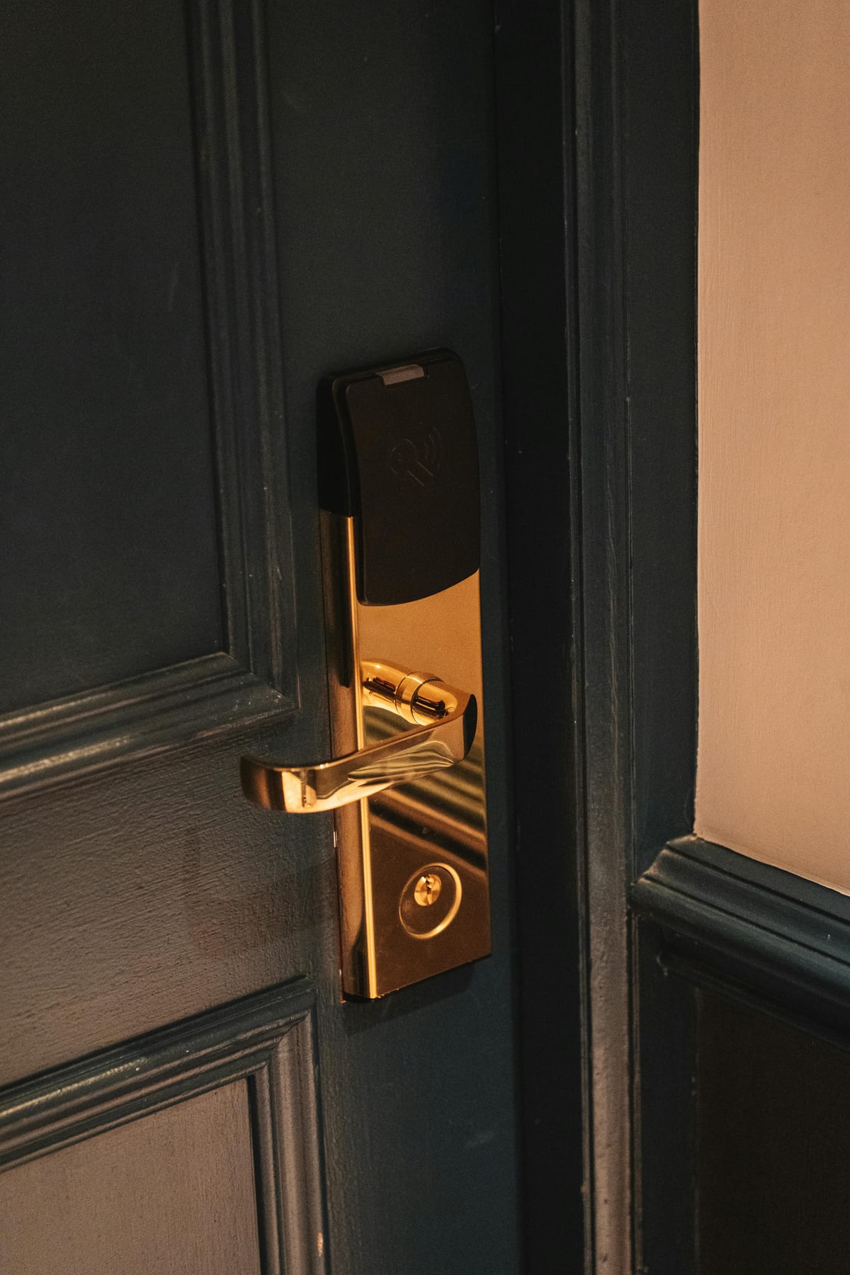 Brass lever handle and deadbolt on a dark residential door