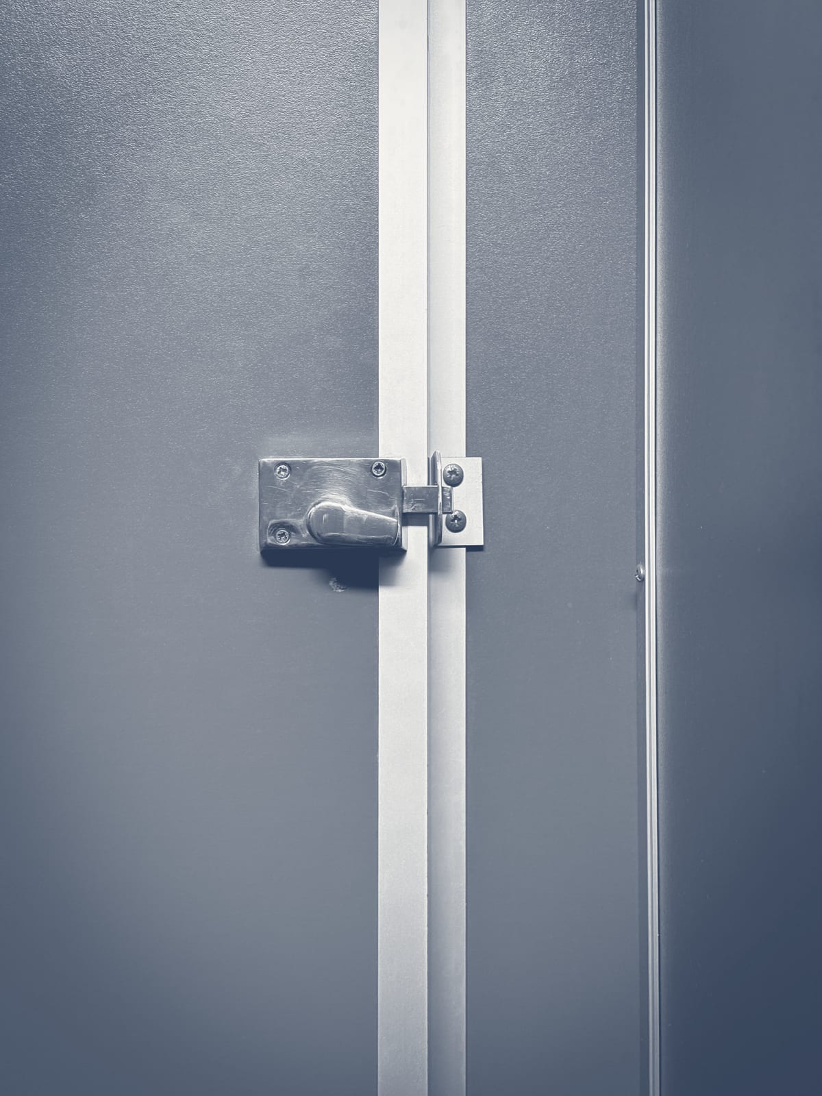 Heavy steel bolt and latch bar on a metal commercial door